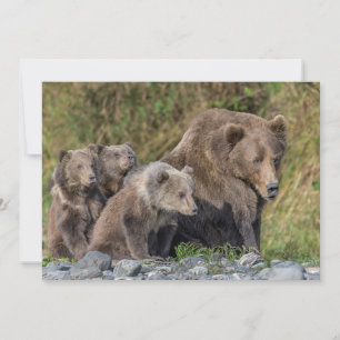 Carte De Remerciements Animaux Bébés les Plus Mignons Maman Ours Kodiak