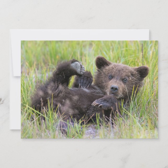 Carte De Remerciements Animaux Bébés les Plus Mignons | Ourson Brun Bébé (Devant)