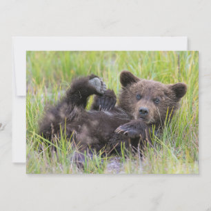 Carte De Remerciements Animaux de bébés cutest Bébé Ours Brown