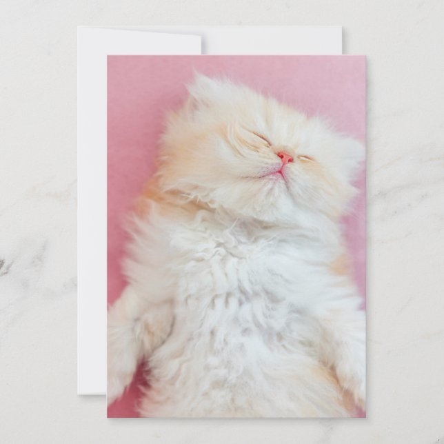 Carte De Remerciements Animaux de bébés cutest | Belle Chaton Dormir (Devant)