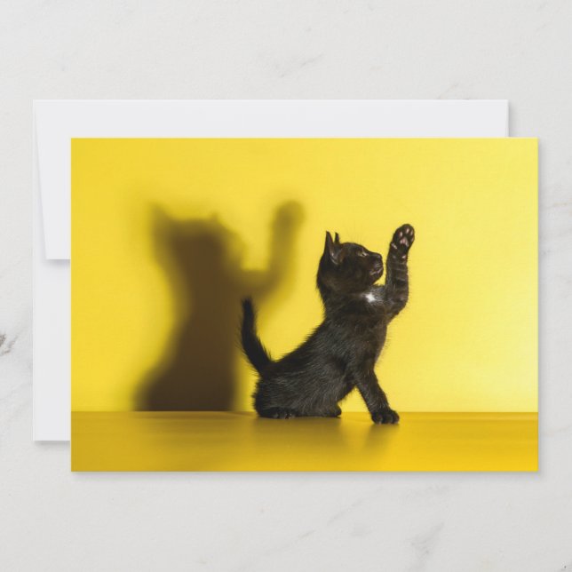 Carte De Remerciements Animaux de bébés cutest | Black Cat Jouer (Devant)