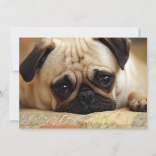 Carte De Remerciements Animaux de bébés cutest   Carlin bébé chiot