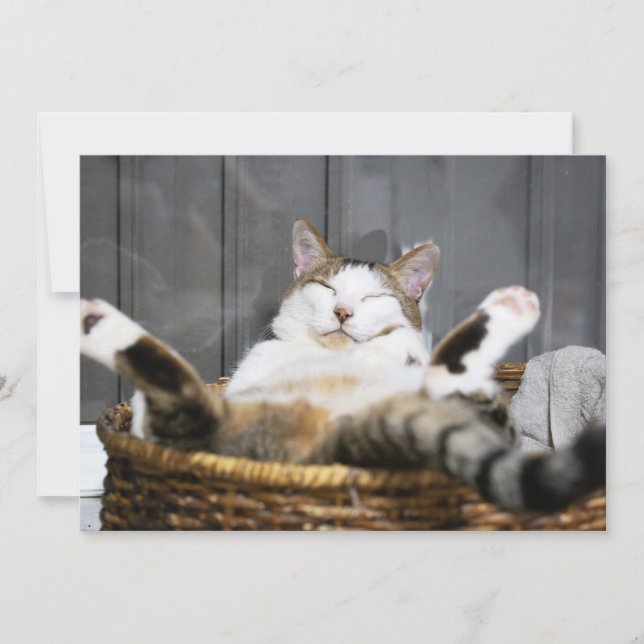 Carte De Remerciements Animaux de bébés cutest | Chat dans le lit (Devant)