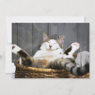 Carte De Remerciements Animaux de bébés cutest   Chat dans le lit