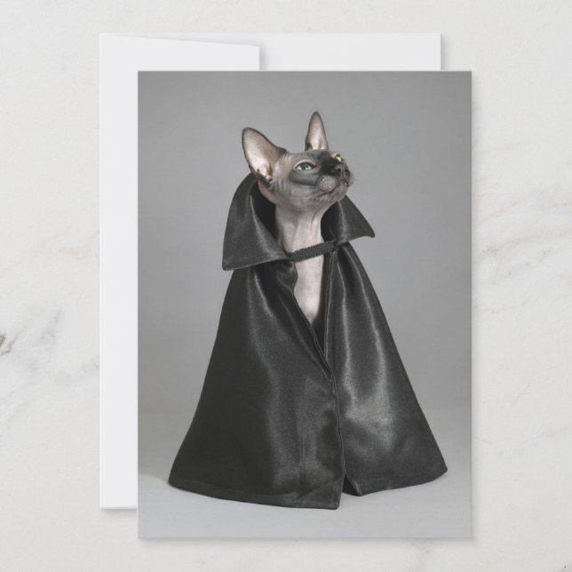 Carte De Remerciements Animaux de bébés cutest | Chat sans poil Sphynx (Devant)