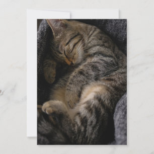 Carte De Remerciements Animaux de bébés cutest   Chat Tabby Dormant