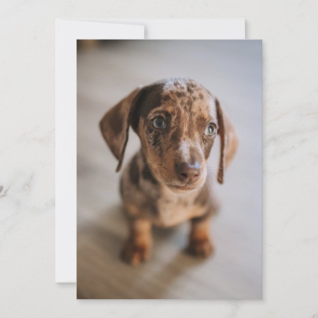 Carte De Remerciements Animaux de bébés cutest | Chiot Brown (Devant)