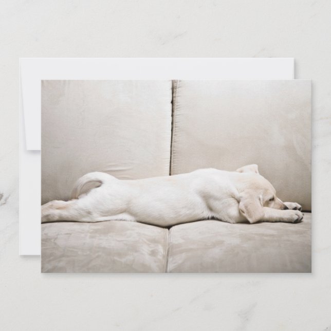 Carte De Remerciements Animaux de bébés cutest | Chiot du Labrador jaune  (Devant)