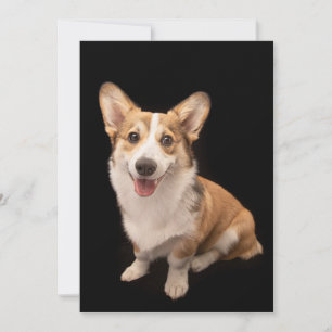 Carte De Remerciements Animaux de bébés cutest   Corgi Puppy Smile