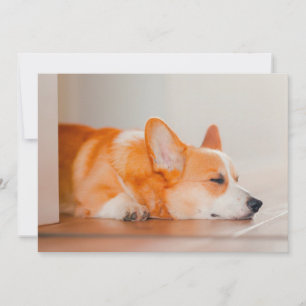 Carte De Remerciements Animaux de bébés cutest   Corgi Sleeping