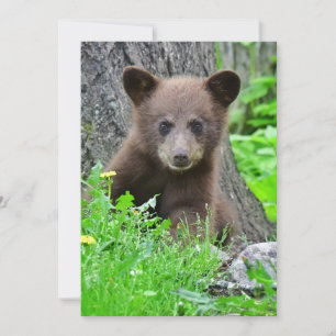 Carte De Remerciements Animaux de bébés cutest   Cube d'ours Brown