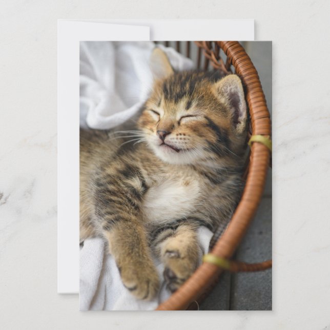 Carte De Remerciements Animaux de bébés cutest | Cute Tabby Chat Dormir (Devant)