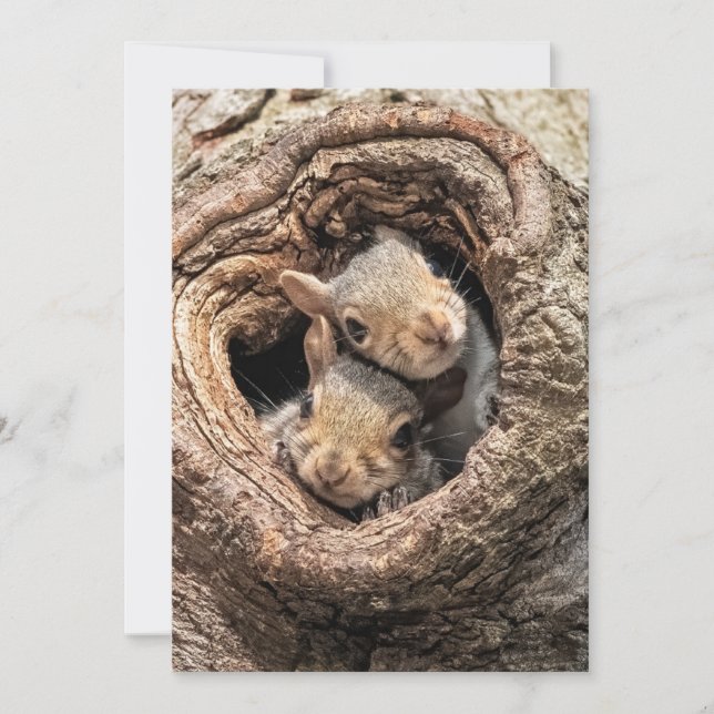 Carte De Remerciements Animaux de bébés cutest | Deux jeunes écureuils (Devant)