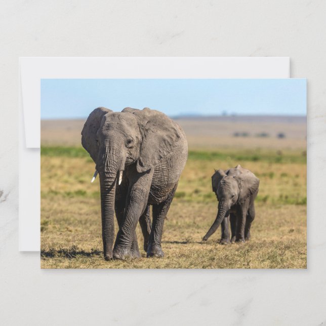 Carte De Remerciements Animaux de bébés cutest | Eléphant mère & bébé (Devant)