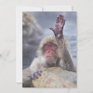 Carte De Remerciements Animaux de bébés cutest Face de singe de neige