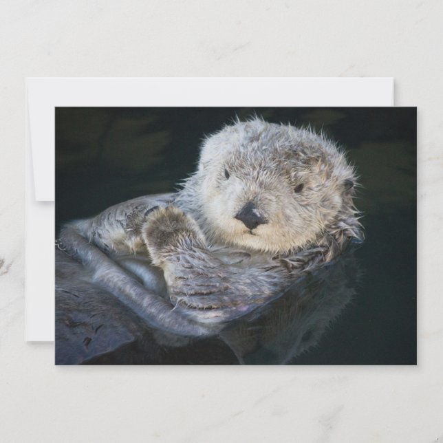 Carte De Remerciements Animaux de bébés cutest | Flottant de Loutres de m (Devant)