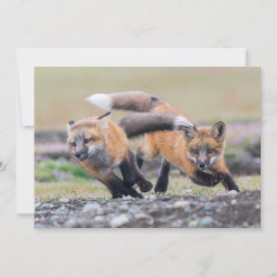 Carte De Remerciements Animaux de bébés cutest   Fox Pups en jeu