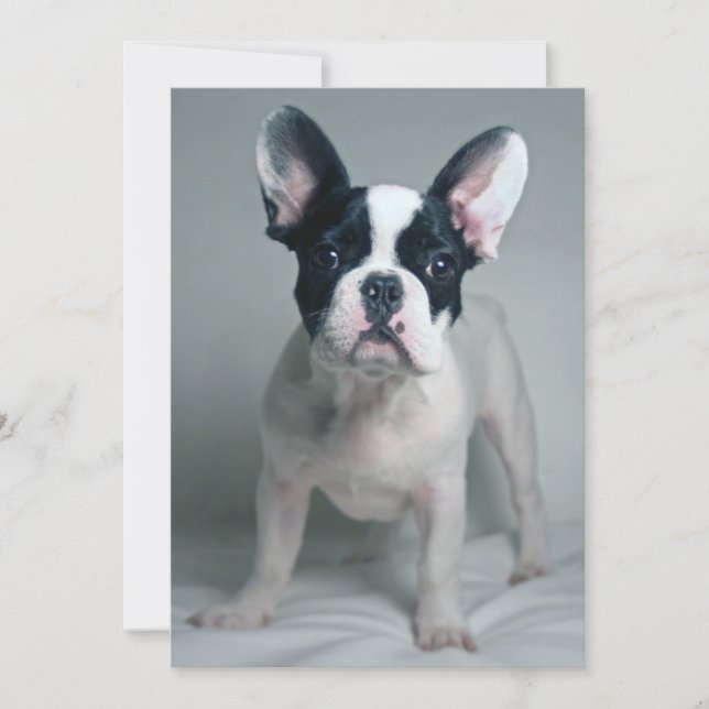 Carte De Remerciements Animaux de bébés cutest | French Bulldog Puppy (Devant)