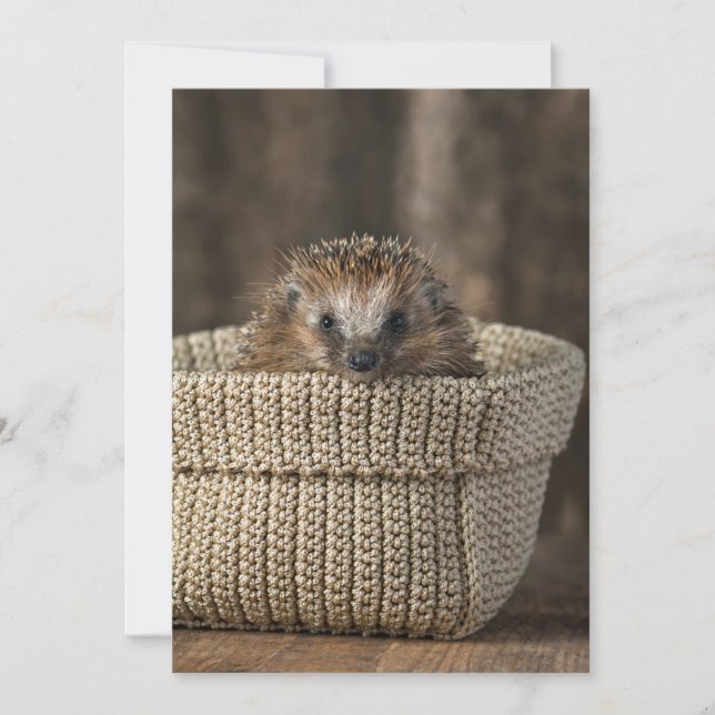 Carte De Remerciements Animaux de bébés cutest | Hérisson dans un panier (Devant)