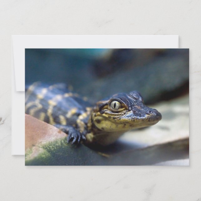 Carte De Remerciements Animaux de bébés cutest | Jeune alligator (Devant)