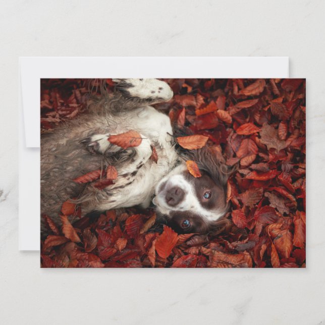 Carte De Remerciements Animaux de bébés cutest | L'espagnol dans les feui (Devant)