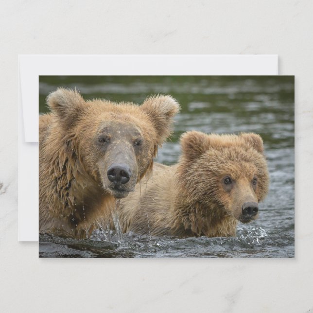 Carte De Remerciements Animaux de bébés cutest | Mama Bear & Her Cubs (Devant)