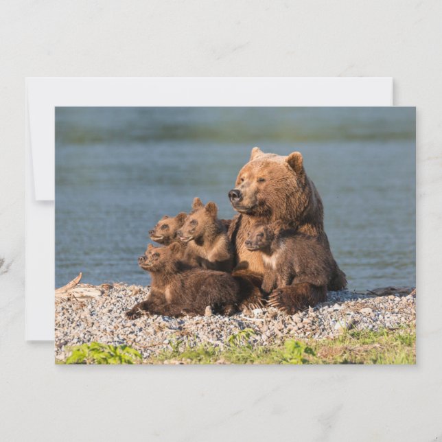 Carte De Remerciements Animaux de bébés cutest | Mère Ours & Cubs (Devant)