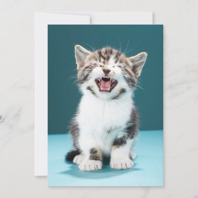 Carte De Remerciements Animaux de bébés cutest | Mewing Baby Kitten (Devant)