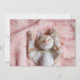Carte De Remerciements Animaux de bébés cutest   Minuscule chaton rayé or