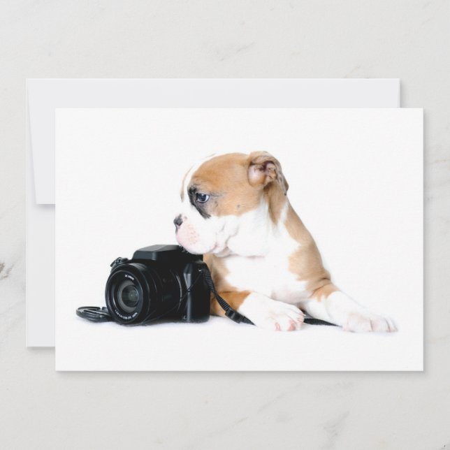 Carte De Remerciements Animaux de bébés cutest | Old Tyme British Bulldog (Devant)