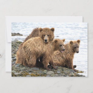 Carte De Remerciements Animaux de bébés cutest   Ours et oursons