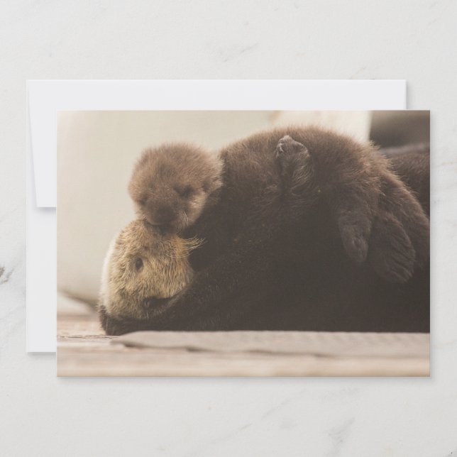 Carte De Remerciements Animaux de bébés cutest | Pompe Otter nouveau-né (Devant)