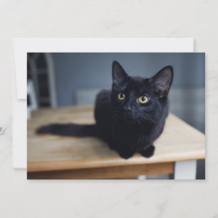 Carte De Remerciements Animaux de bébés cutest   Portrait d'un chat noir