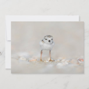 Carte De Remerciements Animaux de bébés cutest   Poussette de tuyauterie