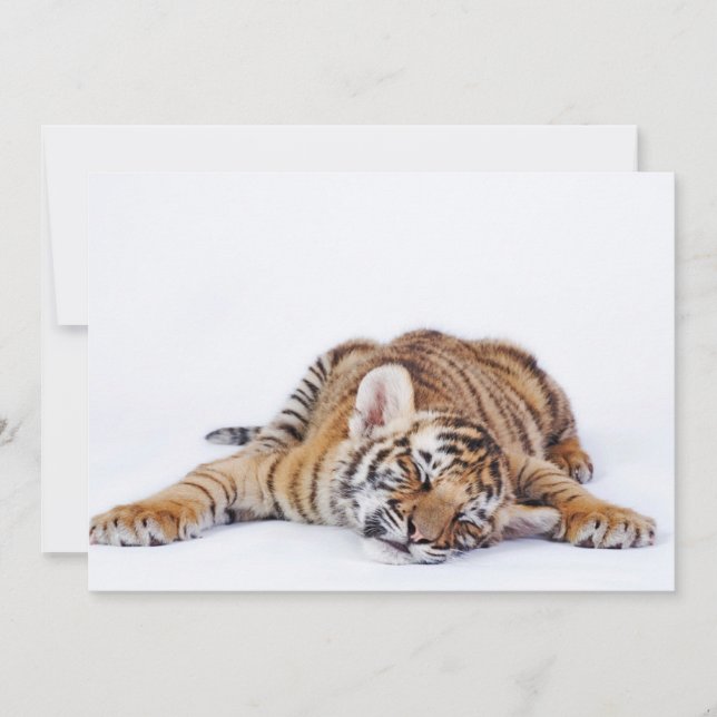 Carte De Remerciements Animaux de bébés cutest | Sleepy Baby Tiger Cub (Devant)