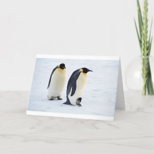 Carte De Remerciements Animaux mignons de temps d'oiseau de neige de