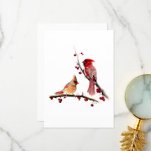 Aquarelle Cardinal Pair