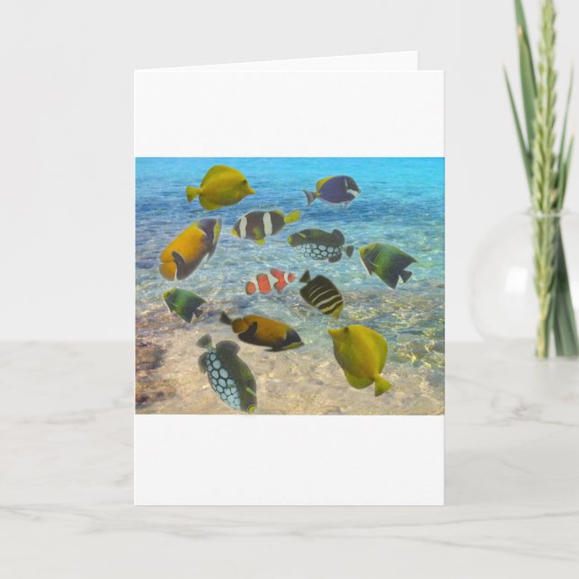 Carte De Remerciements Aquarium avec poissons multicolores (Devant)