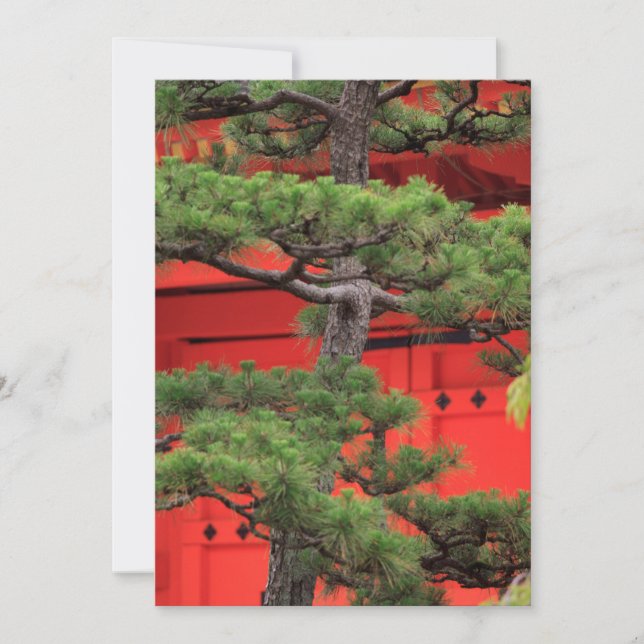 Carte De Remerciements Arbre de Bonsai (Devant)