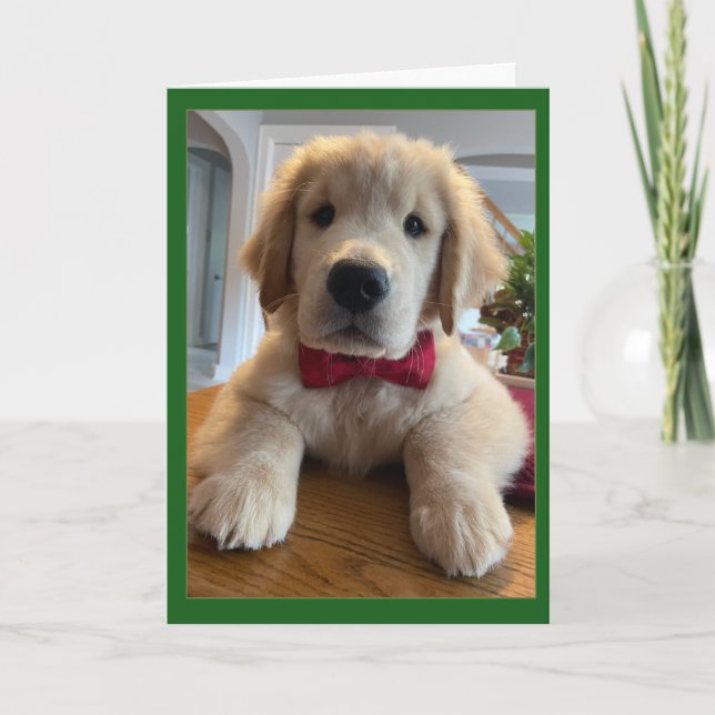 Carte De Remerciements Archie Christmas Bowtie (Devant)