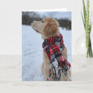 Carte De Remerciements Archie Christmas Snow