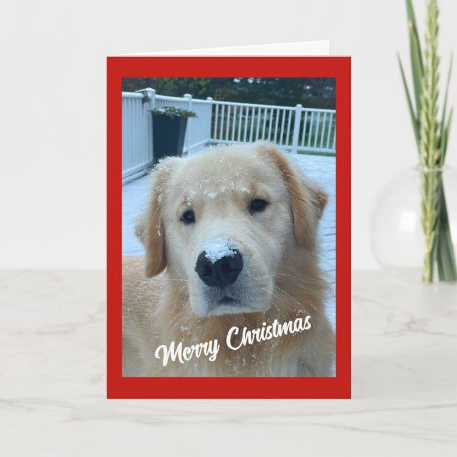 Carte De Remerciements Archie neige de Noël #3 (Devant)