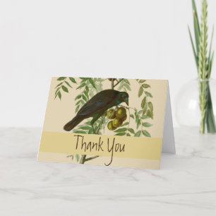 Carte De Remerciements Audubon American Crow Black Bird