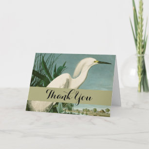 Carte De Remerciements Audubon Héron de neige Oiseaux d'aigrettes blanche