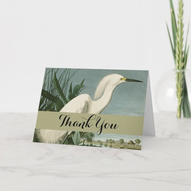 Carte De Remerciements Audubon Héron de neige Oiseaux d'aigrettes blanche (Devant)