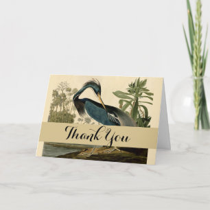 Carte De Remerciements Audubon Louisiana Heron Birds America Art