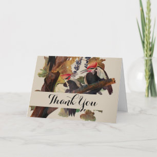 Carte De Remerciements Audubon Peinture d'Oiseaux Pic Pilé
