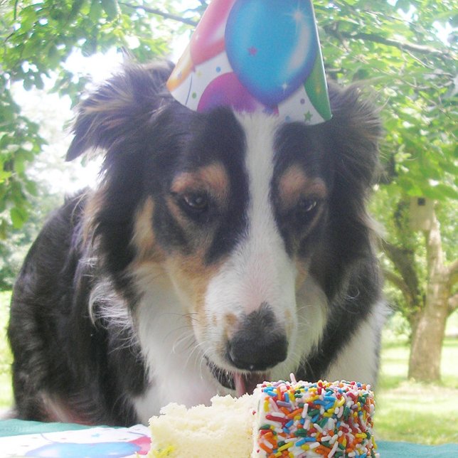 Carte De Remerciements "Avoir ton gâteau et le manger aussi !" (Créateur téléchargé)
