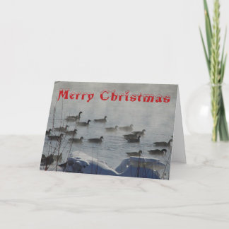 Carte De Remerciements B 49 Canada Geese on Foggy River Christmas Card