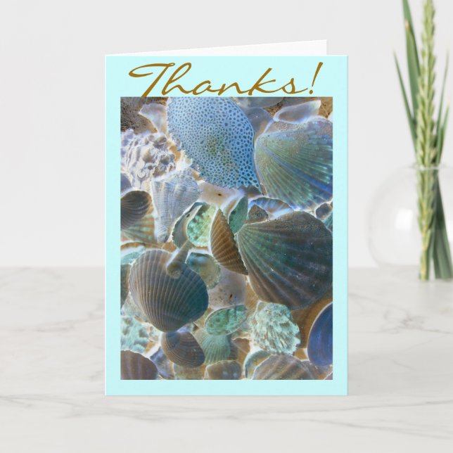 Carte de remerciements Beach Shells (Devant)